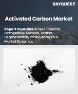 Global Activated Carbon Market