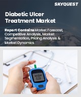 Diabetic Ulcer Treatment Market