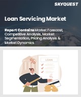 Global Loan Servicing Market