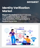 Global Identity Verification Market