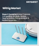 Global WiGig Market