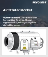 Global Air Starter Market
