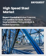 Global High Speed Steel Market
