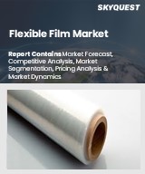 Global Flexible Film Market