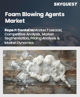 Global Foam Blowing Agents Market