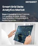 Global Smart Grid Data Analytics Market