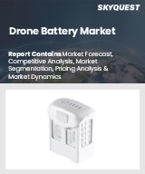 Global Drone Battery Market