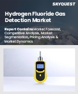 Global Hydrogen Fluoride Gas Detection Market