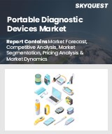Global Portable Diagnostic Devices Market