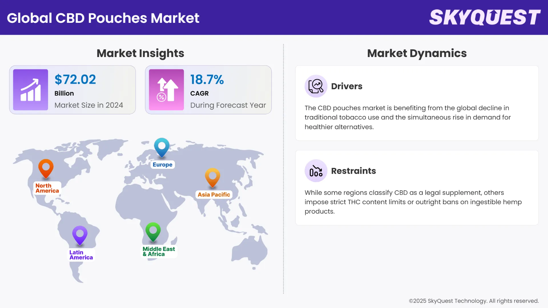 CBD Pouches Market Insights
