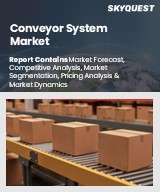 Global Conveyor System Market