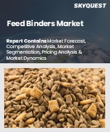 Global Feed Binders Market
