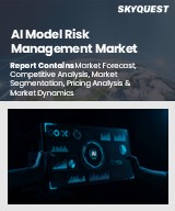 Global AI model risk Management Market