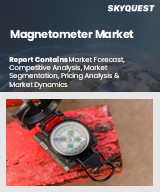 Global Magnetometer Market