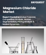 Magnesium Chloride Market