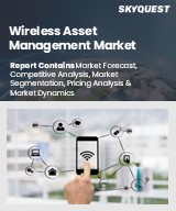 Global Wireless Asset Management Market