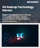 Global 5G Redcap Technology Market