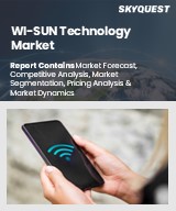 Global WI-SUN Technology Market