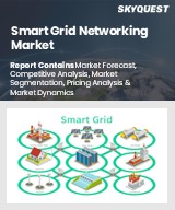 Global Smart Grid Networking Market