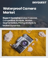 Global Waterproof Camera Market