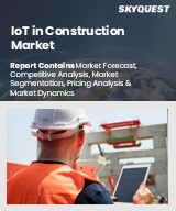 Global IoT in Construction Market