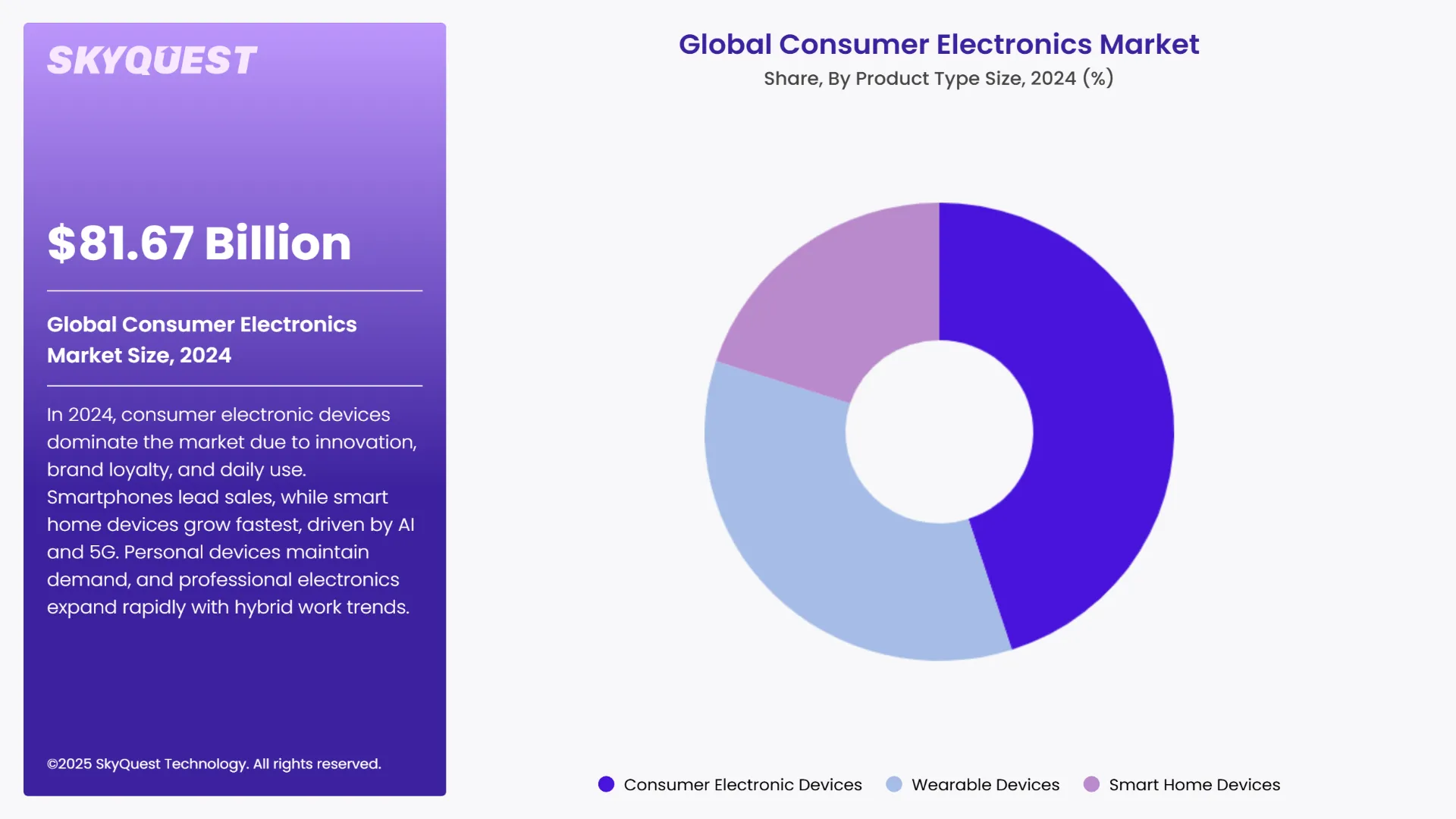 Consumer Electronics Market Segments Analysis