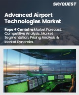 Global Advanced Airport Technologies Market