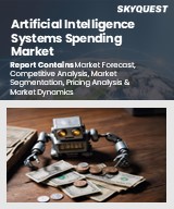 Global Artificial Intelligence Systems Spending Market