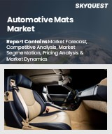 Global Automotive Mats Market
