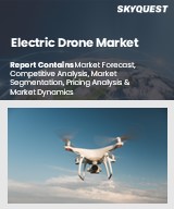 Global Electric Drone Market