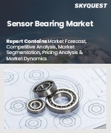 Global Sensor Bearing Market