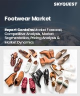 Footwear Market