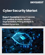 Global Cyber Security Market