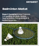 Global Badminton Market