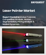 Global Laser Pointer Market