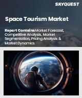 Global Space Tourism Market