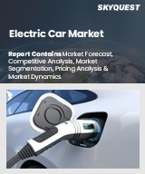 Global Electric Car Market