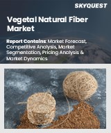 Global Vegetal Natural Fiber Market
