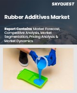 Global Rubber Additives Market