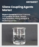 Global Silane Coupling Agents Market