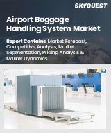 Global Airport Baggage Handling System Market