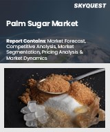 Global Palm Sugar Market