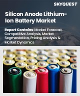 Global Silicon Anode Lithium-Ion Battery Market