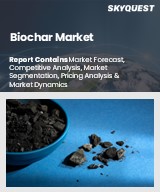 Global Biochar Market