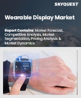 Global Wearable Display Market