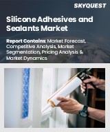 Silicone Adhesives and Sealants Market