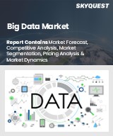 Global Big Data Market