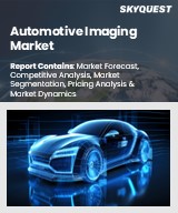 Automotive imaging market