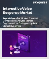 Global Interactive Voice Response Market