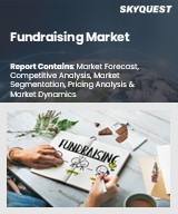 Global Fundraising Market